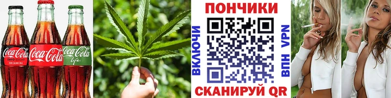 Купить закладки  Нижняя Тура  Canna-Cookies конопля 
