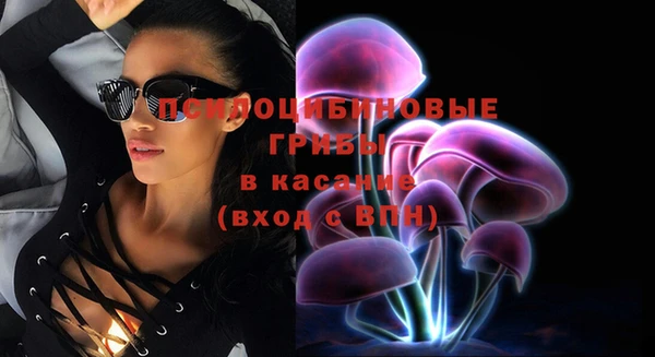 прущая мука Дмитров
