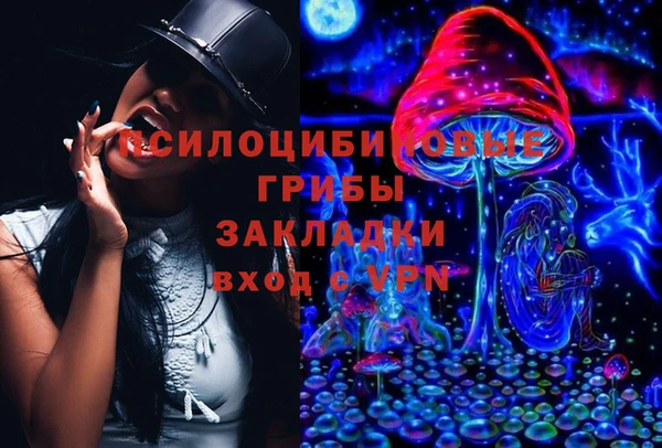 прущая мука Дмитров
