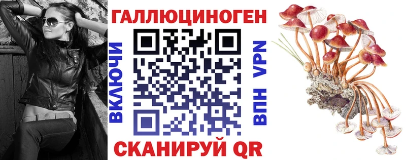 Купить где  Нижняя Тура  Галлюциногенные грибы Cubensis 